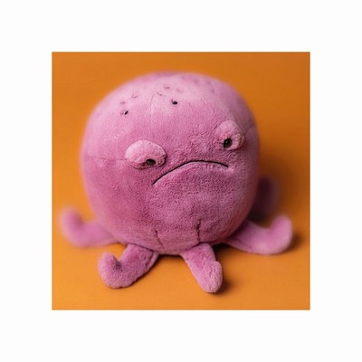 Jellycat Ondre Octopus New Zealand | HJBRM1328